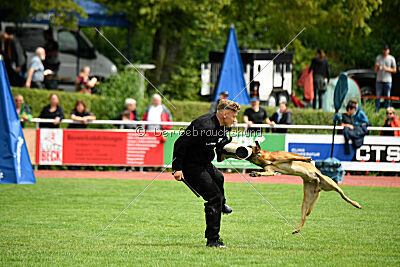 Furan vom Streitwald