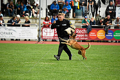 Furan vom Streitwald