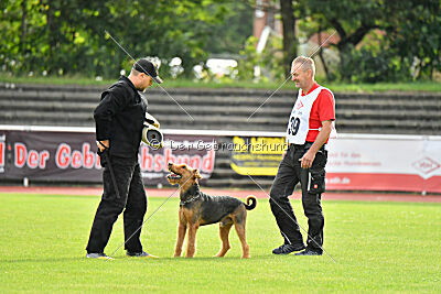 Fynn vom roten Milan