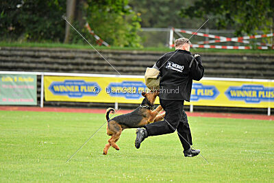 Fynn vom roten Milan