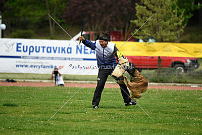 G'Dracarys Force Canina