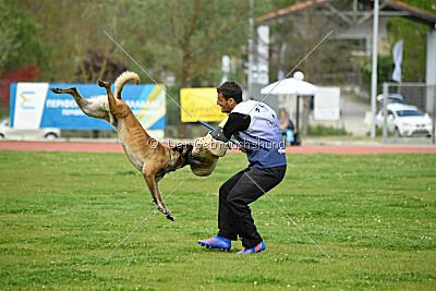 G'Dracarys Force Canina