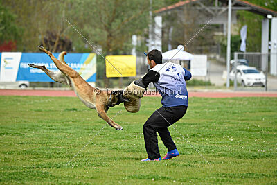 G'Dracarys Force Canina