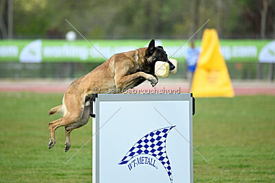 G'Dracarys Force Canina