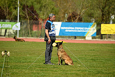 G'Dracarys Force Canina