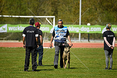 G'Dracarys Force Canina