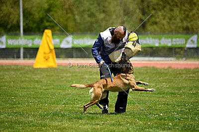 G'Dracarys Force Canina