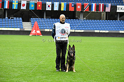 Galax de Jardines del Real