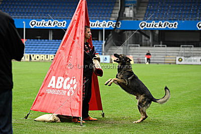 Galax de Jardines del Real