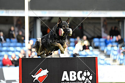 Galax de Jardines del Real