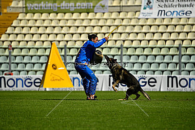 Galax de Jardines del Real