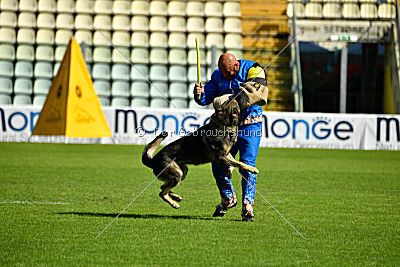 Galax de Jardines del Real