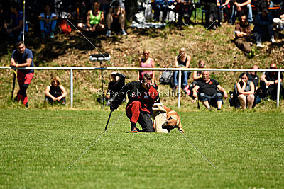 Gangster vom Haus Mecki