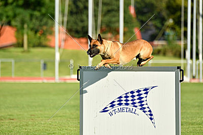 Gangster vom Haus Mecki