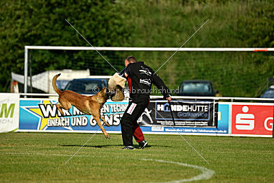 Gary Lubinov Slovakia
