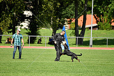 Gauner vom Tanneneck