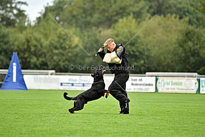 Gauner vom Tanneneck