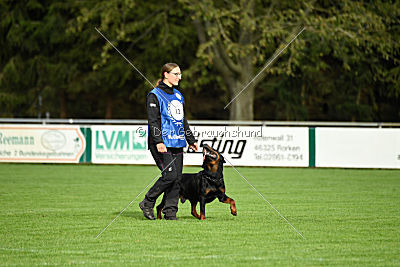Gauner vom Tanneneck