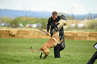Geero z Údolí Jizery