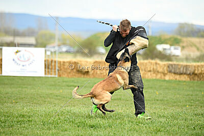 Geero z Údolí Jizery