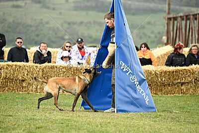 Geero z Údolí Jizery