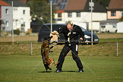 Gemfire the Flying Eagle