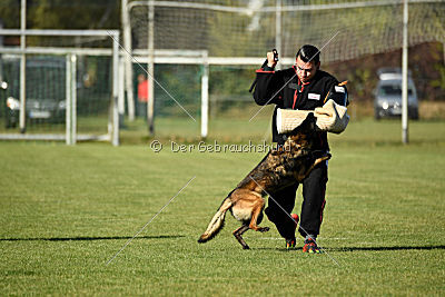 Gemfire the Flying Eagle