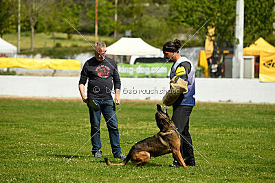 Genius Team Veranis K-9 Center