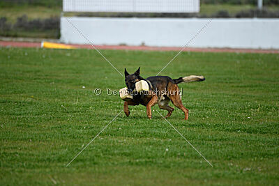 Genius Team Veranis K-9 Center
