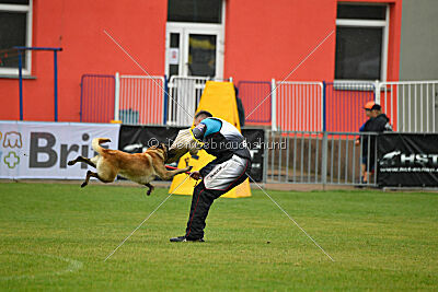 Gento la Mistero de Montani