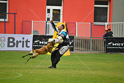 Gento la Mistero de Montani