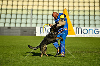 Gero z Berounske Basty