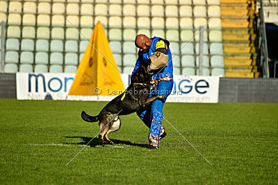 Gero z Berounske Basty