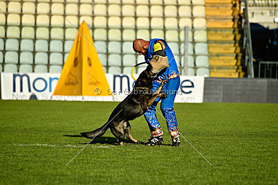 Gero z Berounske Basty