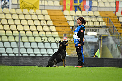 Gero z Berounske Basty