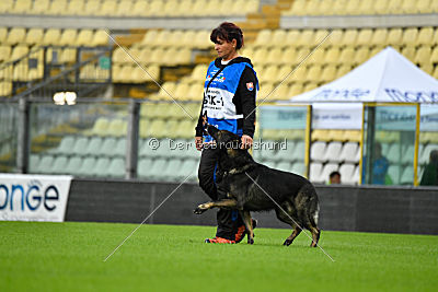 Gero z Berounske Basty