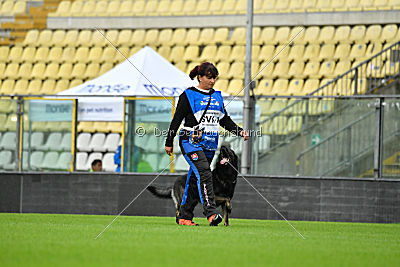 Gero z Berounske Basty