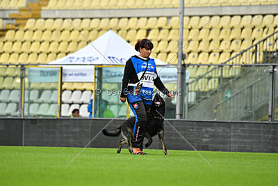 Gero z Berounske Basty