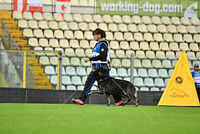 Gero z Berounske Basty