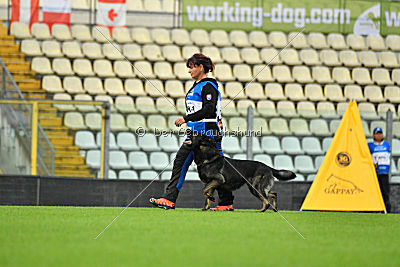 Gero z Berounske Basty