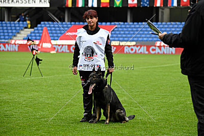 Gero z Berounske basty