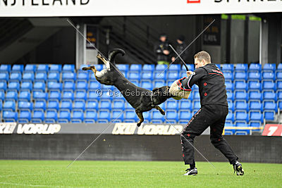 Gero z Berounske basty