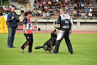 Gero z Berounske basty