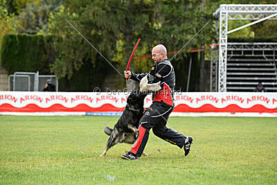 Gero z Berounske basty