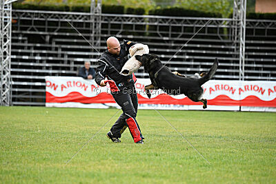 Gero z Berounske basty