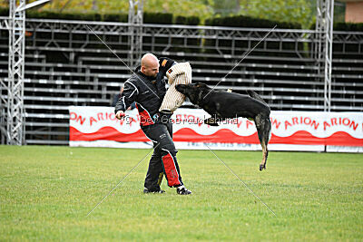 Gero z Berounske basty