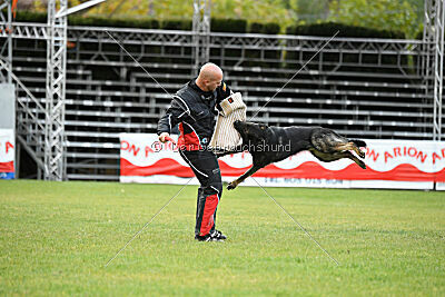 Gero z Berounske basty