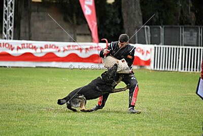 Gero z Berounske basty