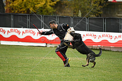 Gero z Berounske basty