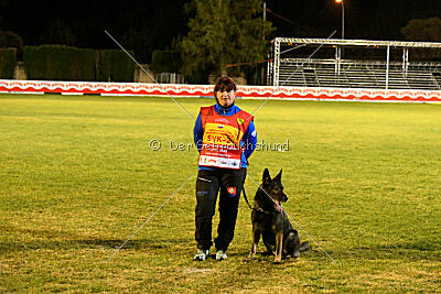 Gero z Berounske basty